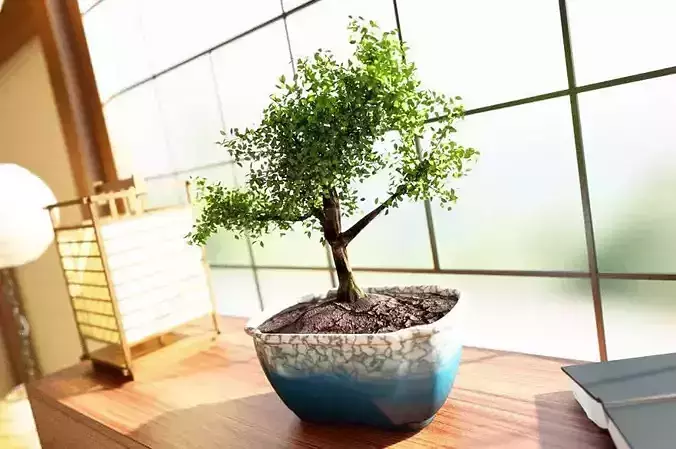 Flowers And Plants Collection