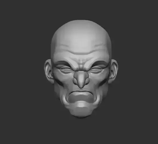 The Vulture Animated Style - Headsculpt for Action Figures