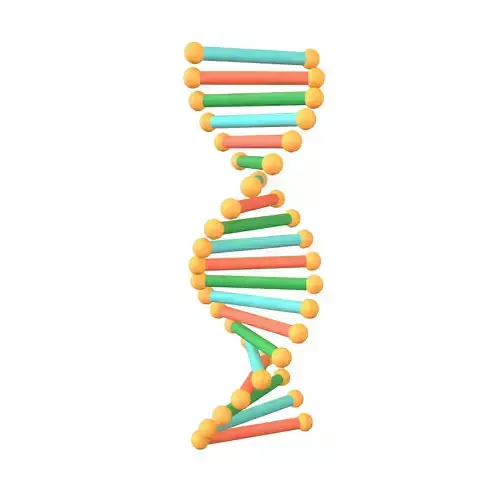 Cartoon DNA Molecule v2 002
