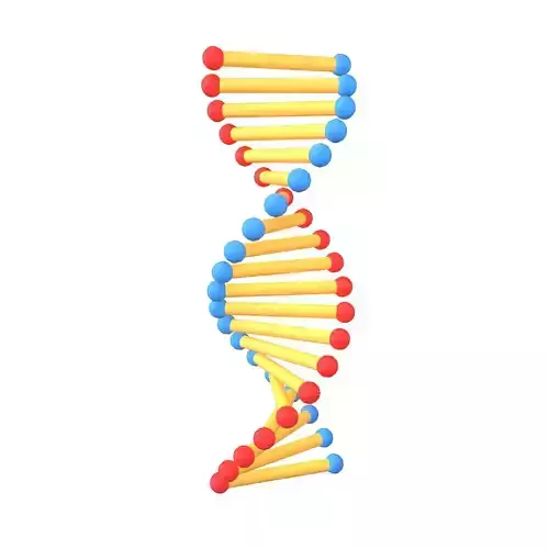 Cartoon DNA Molecule v2 003