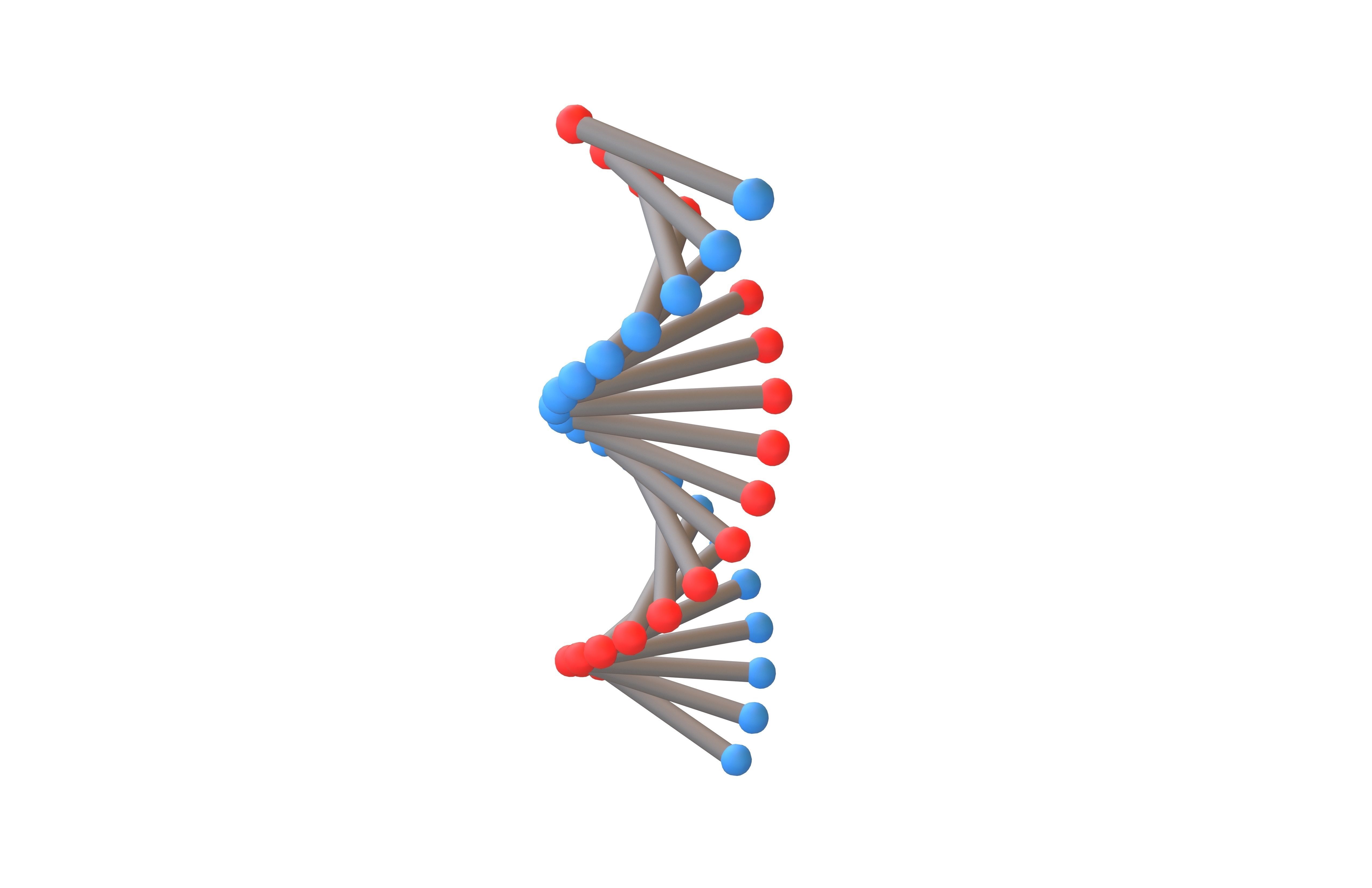 Cartoon DNA Molecule v2 004 Low-poly 3D model_2