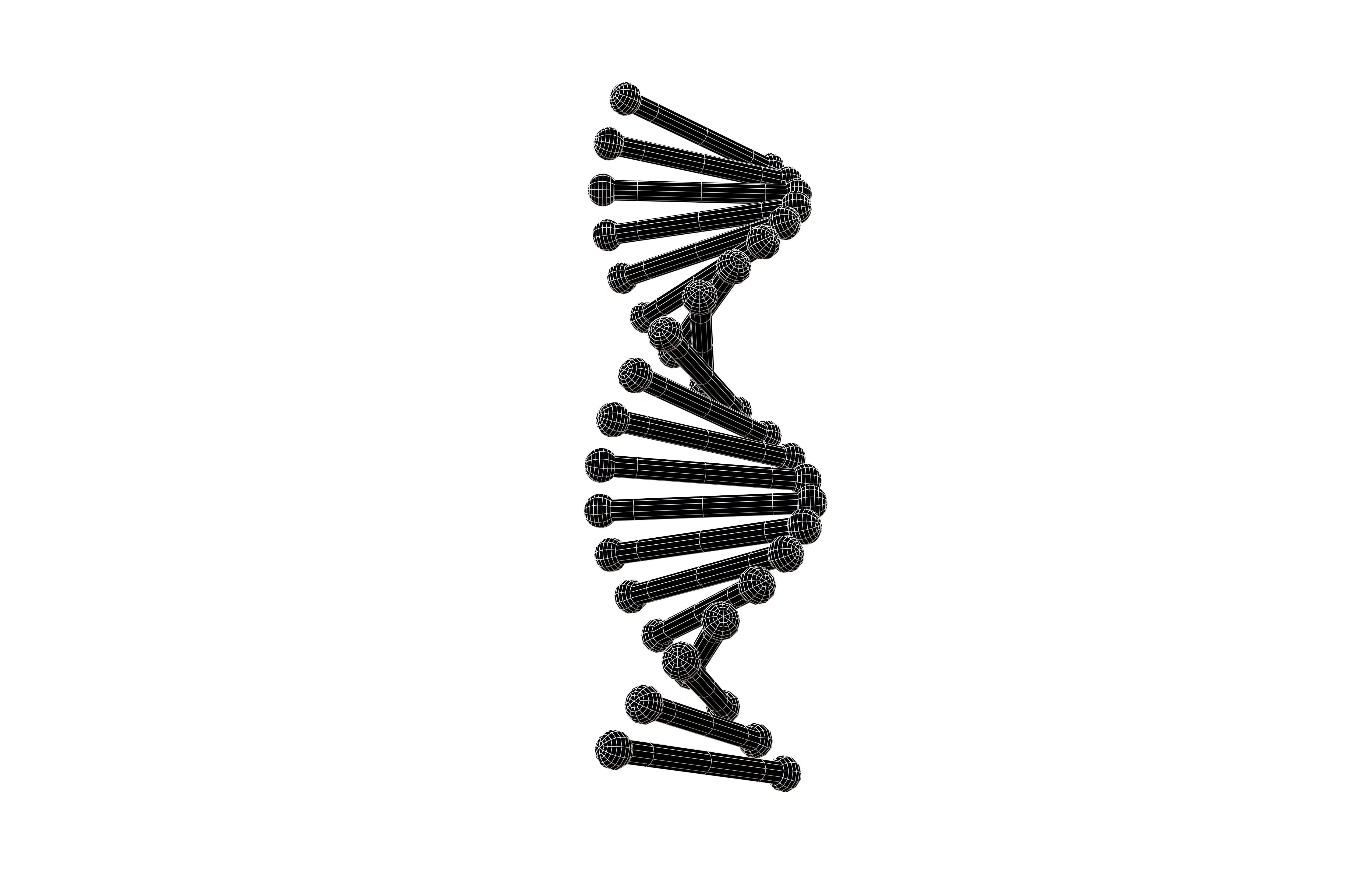 Cartoon DNA Molecule v2 004 Low-poly 3D model_7