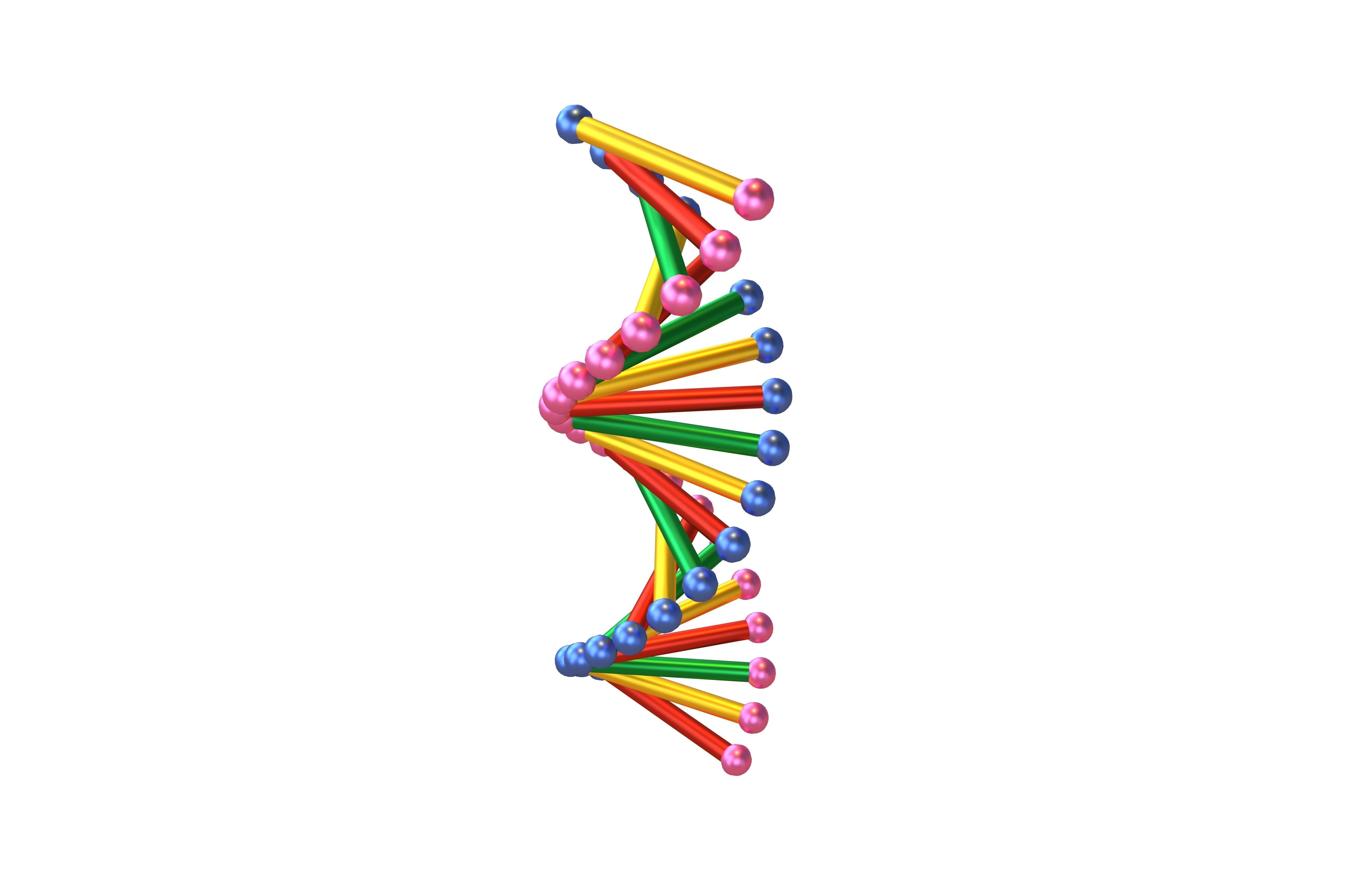 Cartoon DNA Molecule v2 005 Low-poly 3D model_2