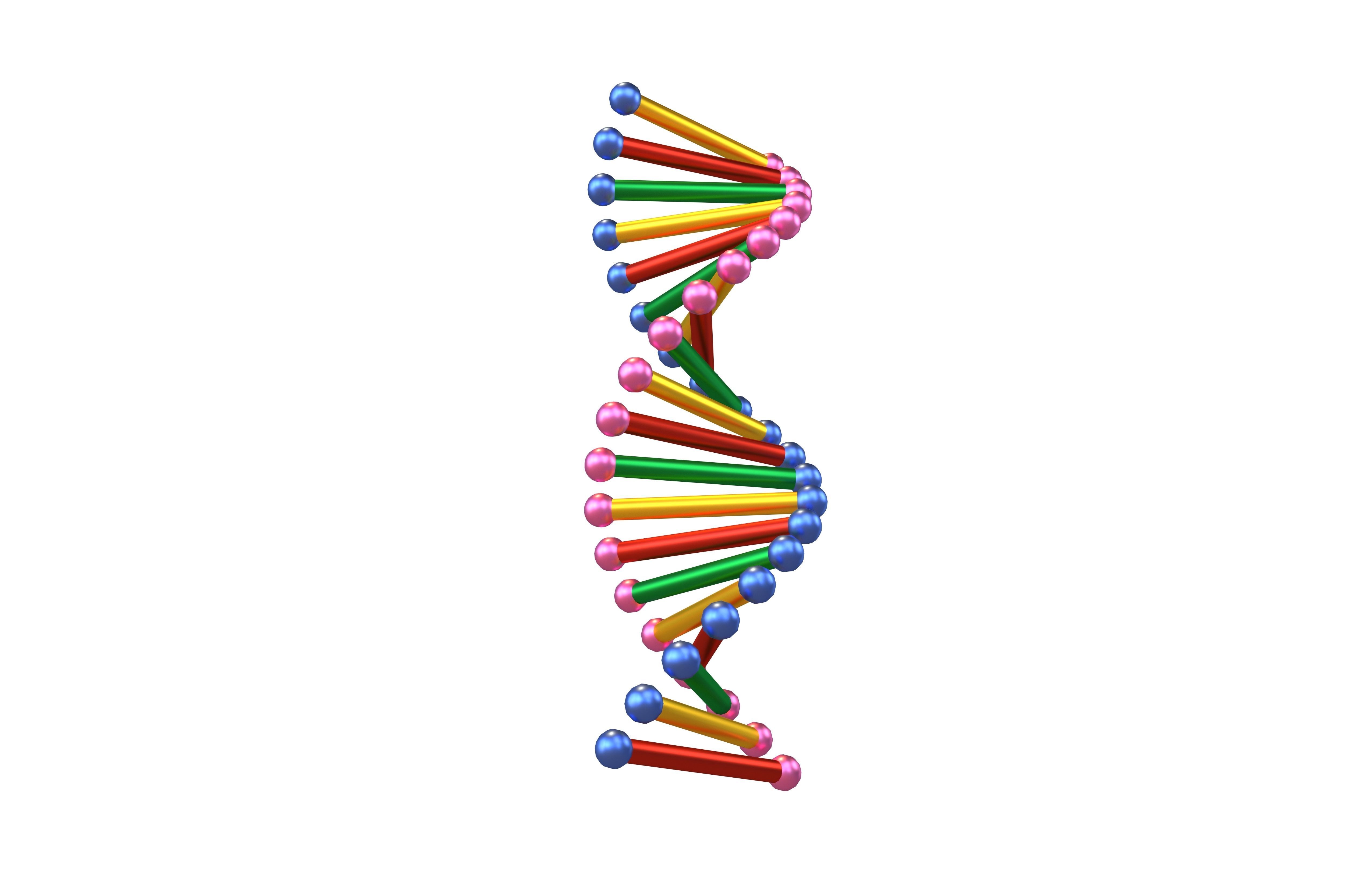 Cartoon DNA Molecule v2 005 Low-poly 3D model_3