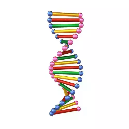 Cartoon DNA Molecule v2 005