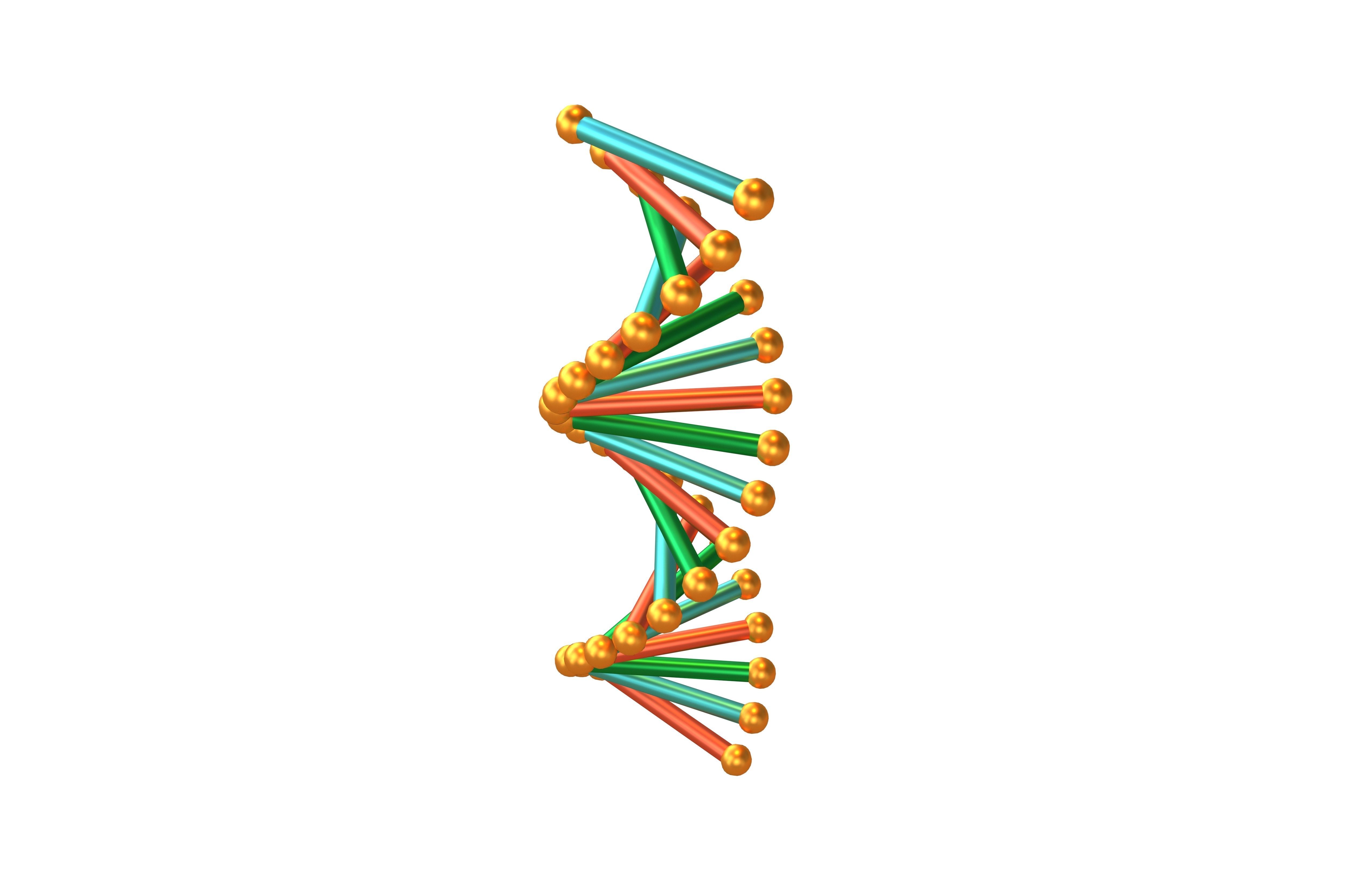 Cartoon DNA Molecule v2 006 Low-poly 3D model_1