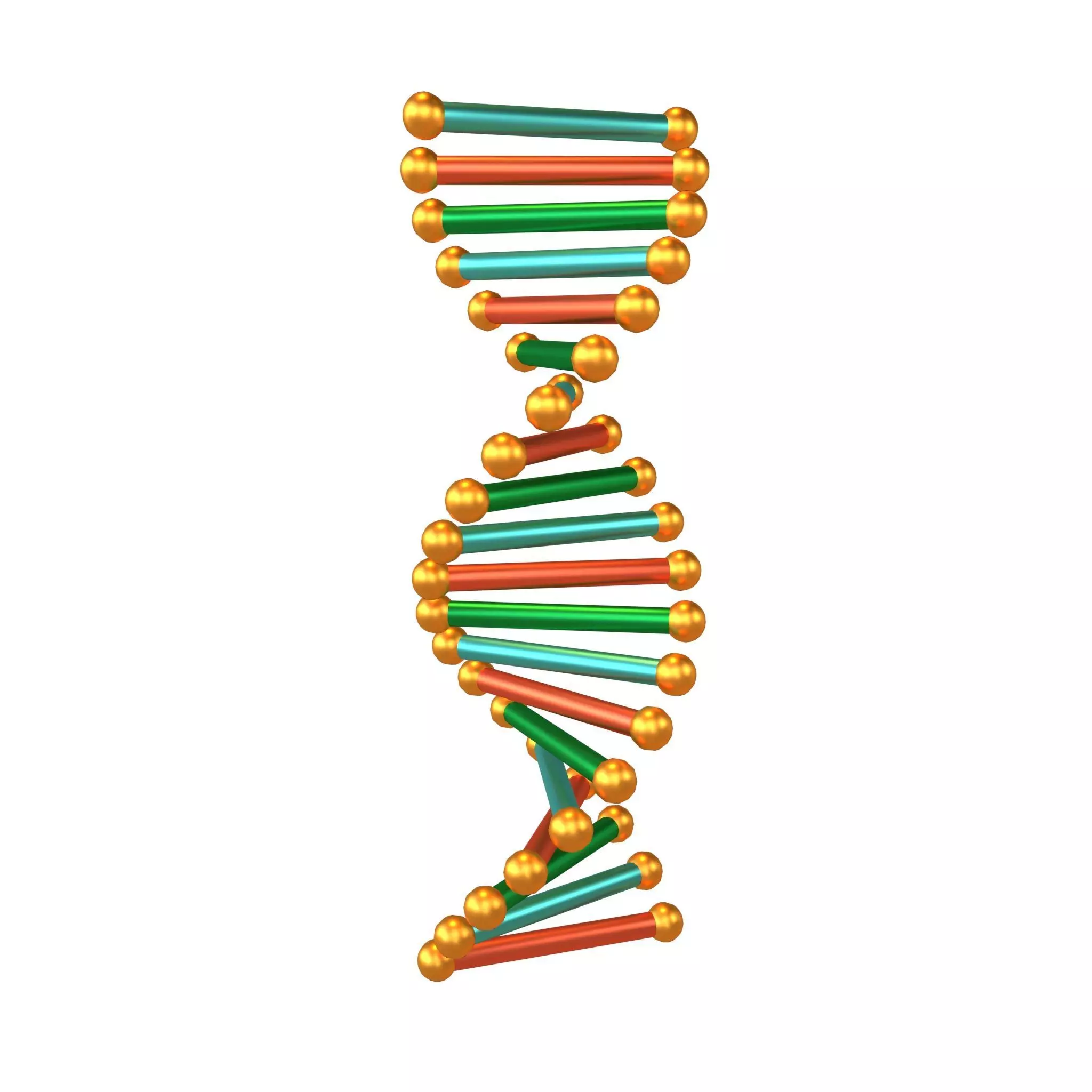 Cartoon DNA Molecule v2 006 Low-poly 3D model_0
