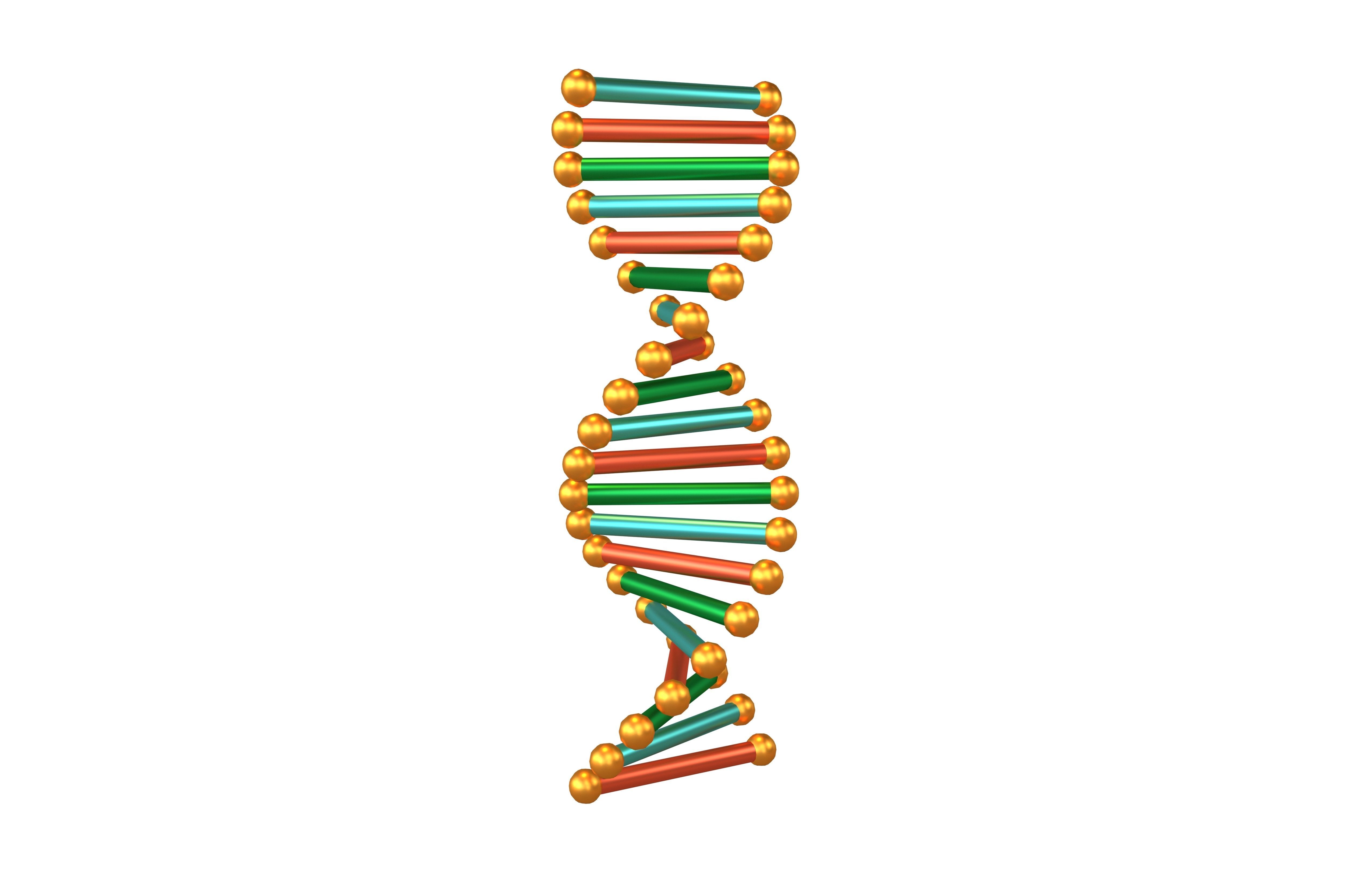 Cartoon DNA Molecule v2 006 Low-poly 3D model_3