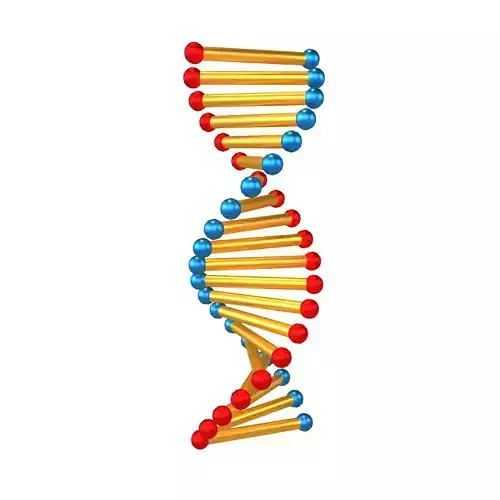 Cartoon DNA Molecule v2 007 Low-poly 3D model