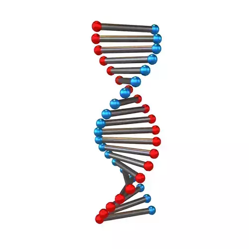 Cartoon DNA Molecule v2 008 Low-poly 3D model