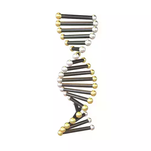 Cartoon DNA Molecule v2 009
