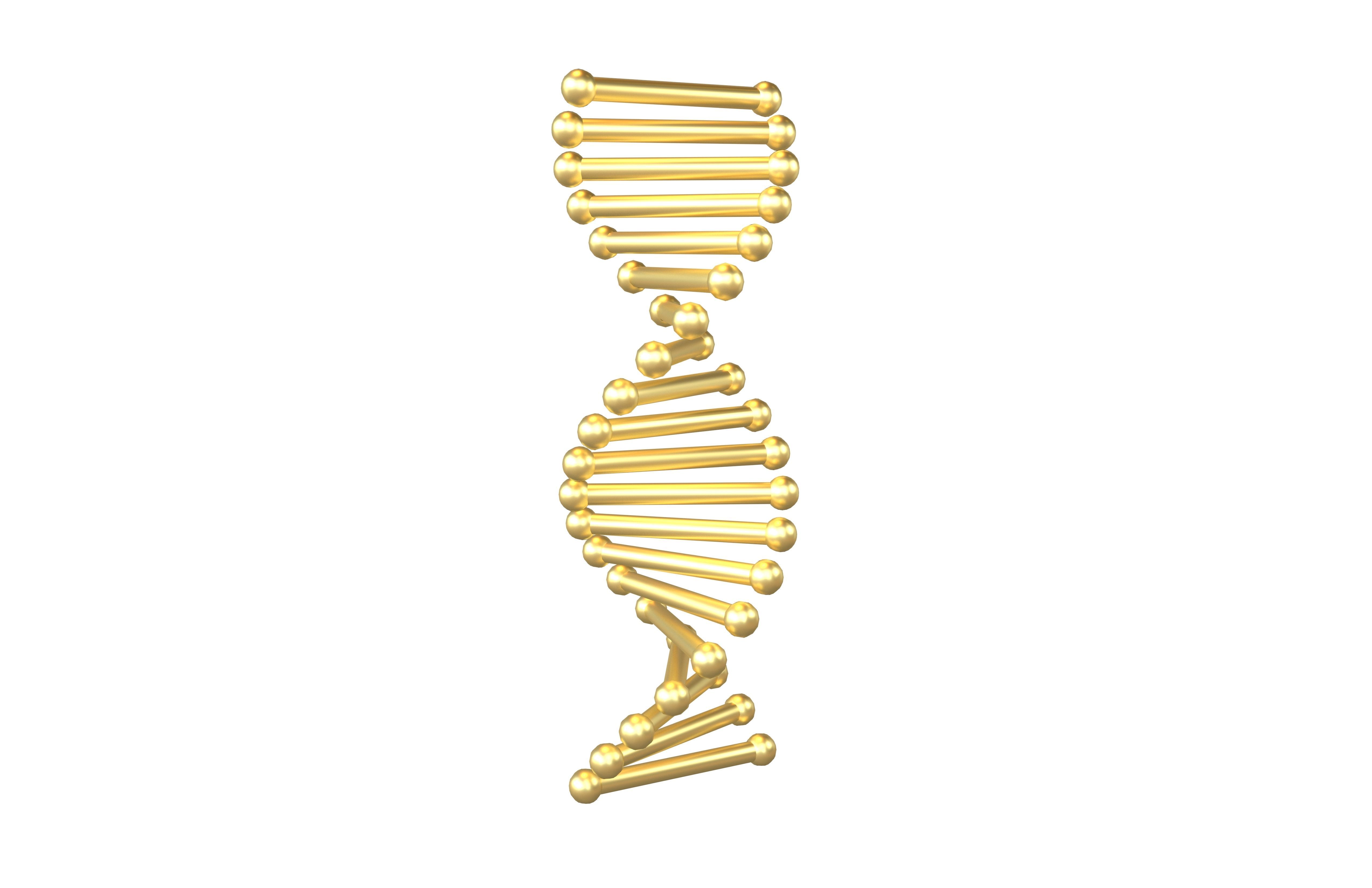 Cartoon DNA Molecule v2 010 Low-poly 3D model_3