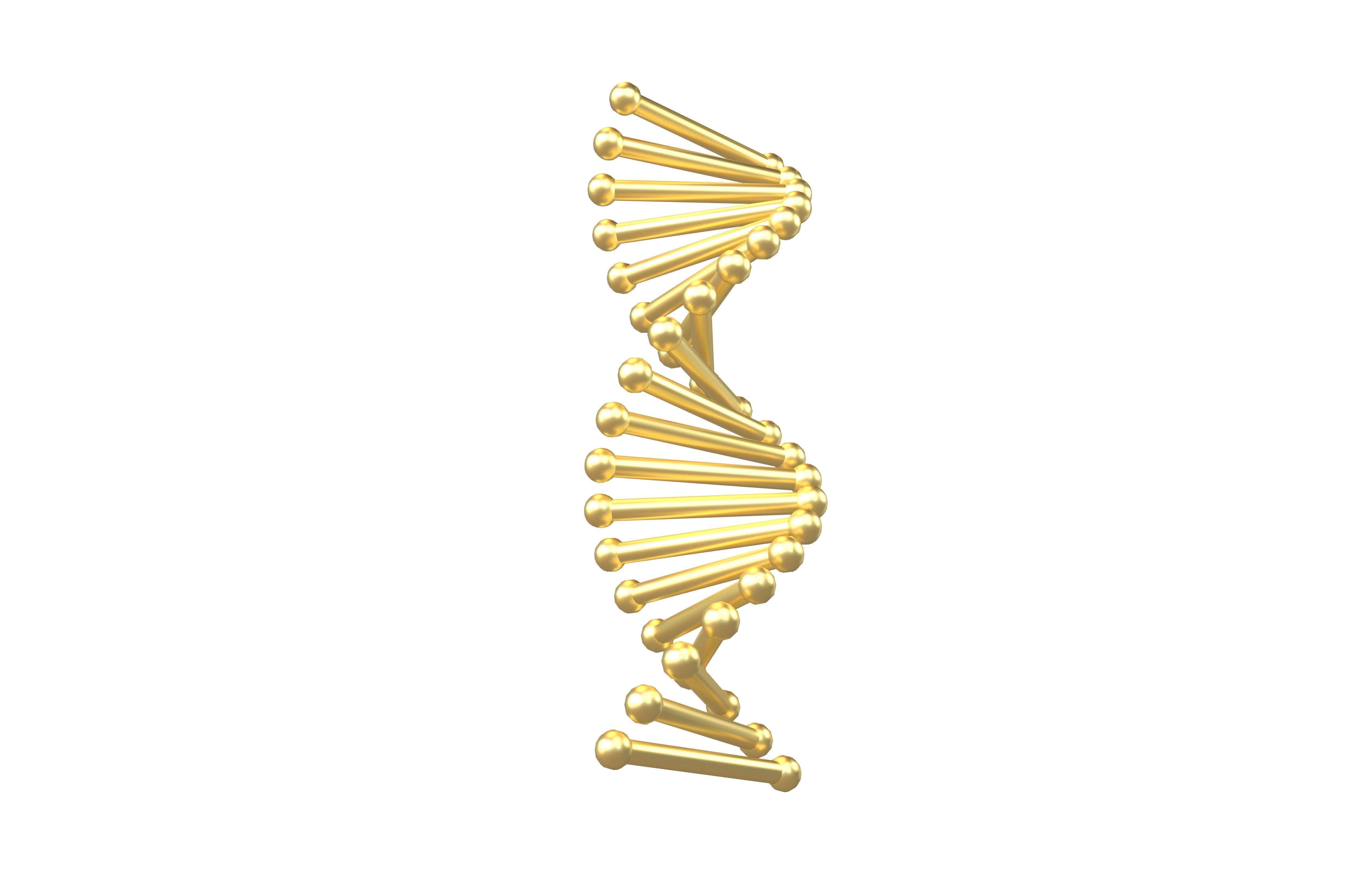 Cartoon DNA Molecule v2 010 Low-poly 3D model_2