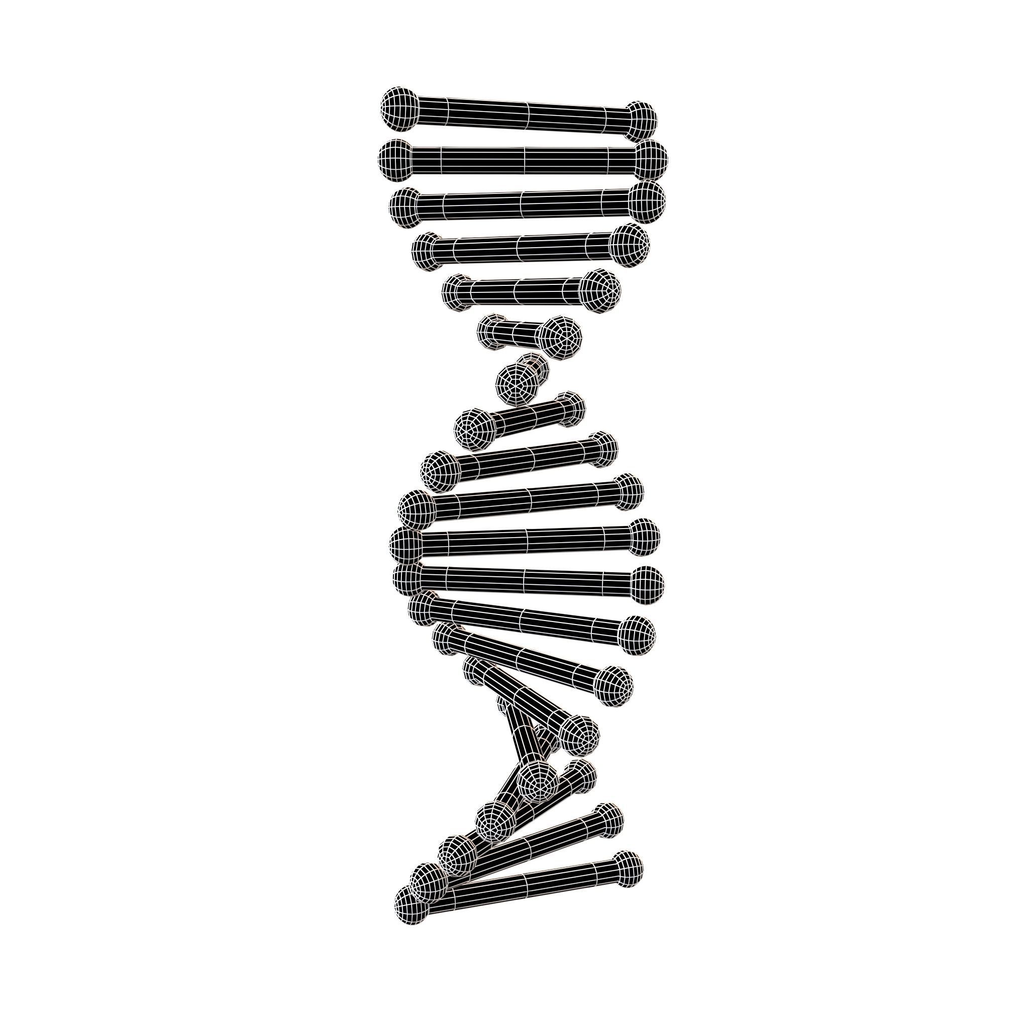 Cartoon DNA Molecule v2 011 Low-poly 3D model_4