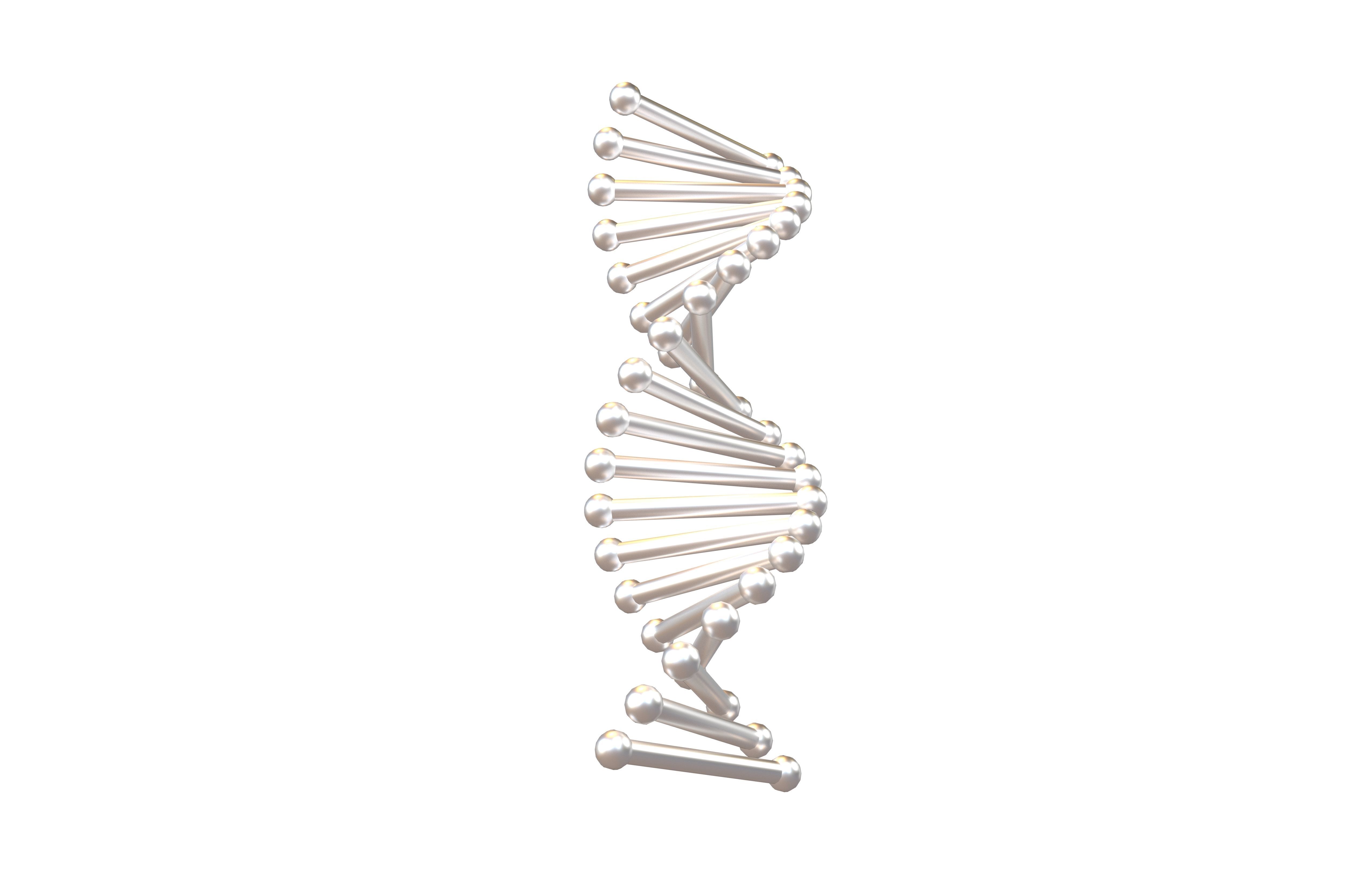 Cartoon DNA Molecule v2 011 Low-poly 3D model_3