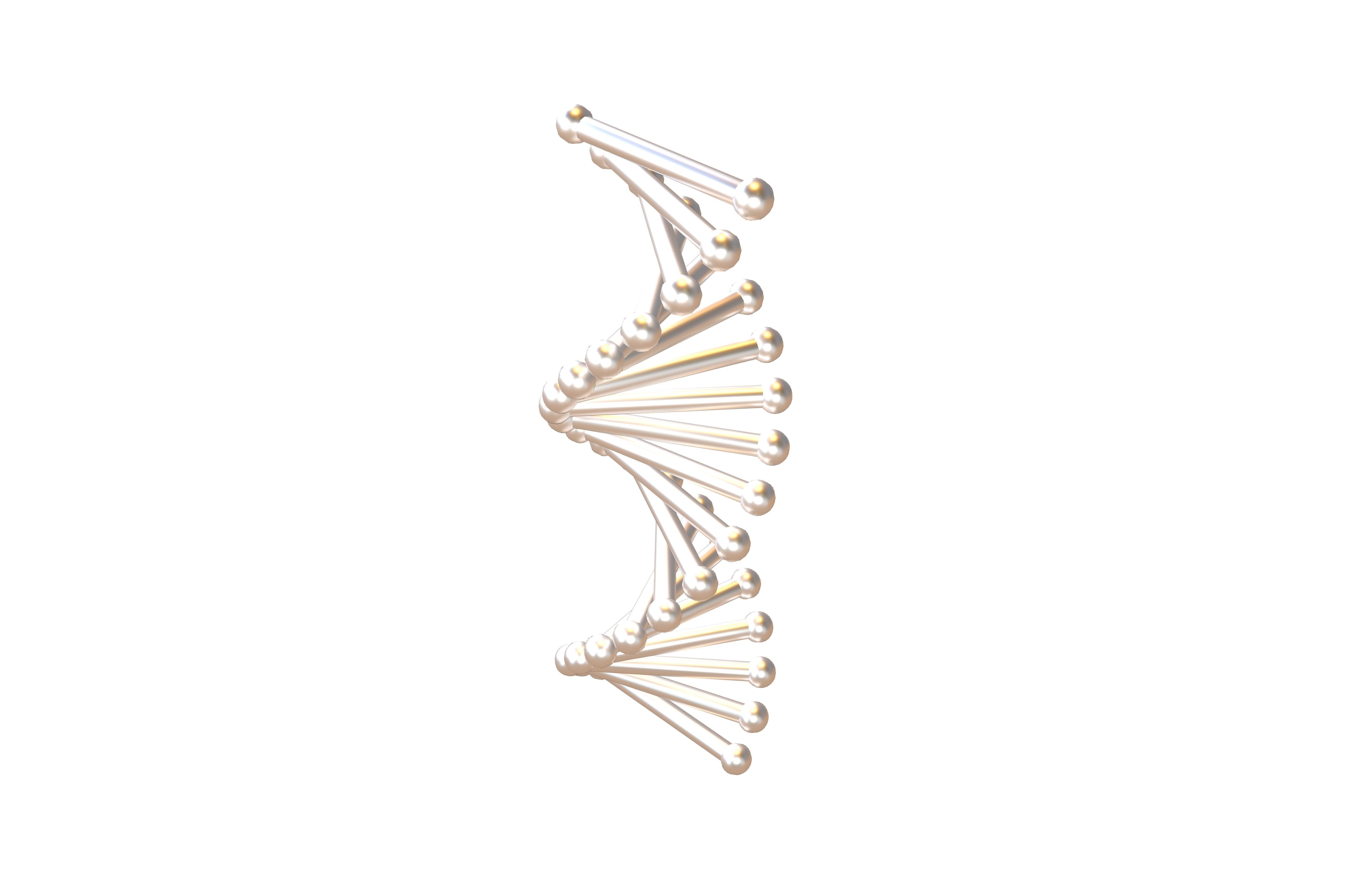 Cartoon DNA Molecule v2 011 Low-poly 3D model_2