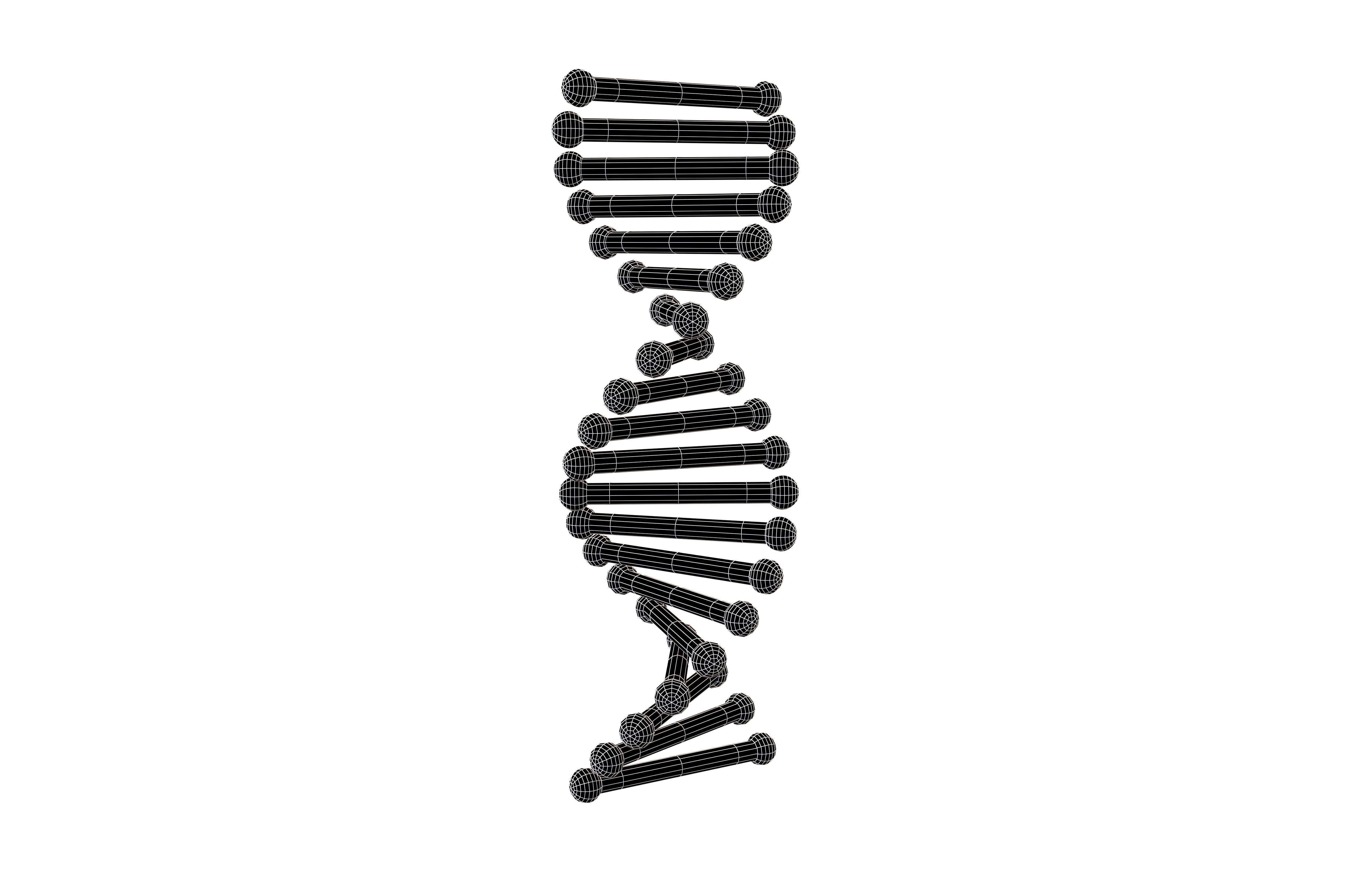 Cartoon DNA Molecule v2 011 Low-poly 3D model_5