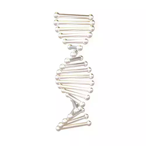 Cartoon DNA Molecule v2 011 Low-poly 3D model