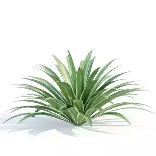 plants for free vol 1 Free low-poly 3D model