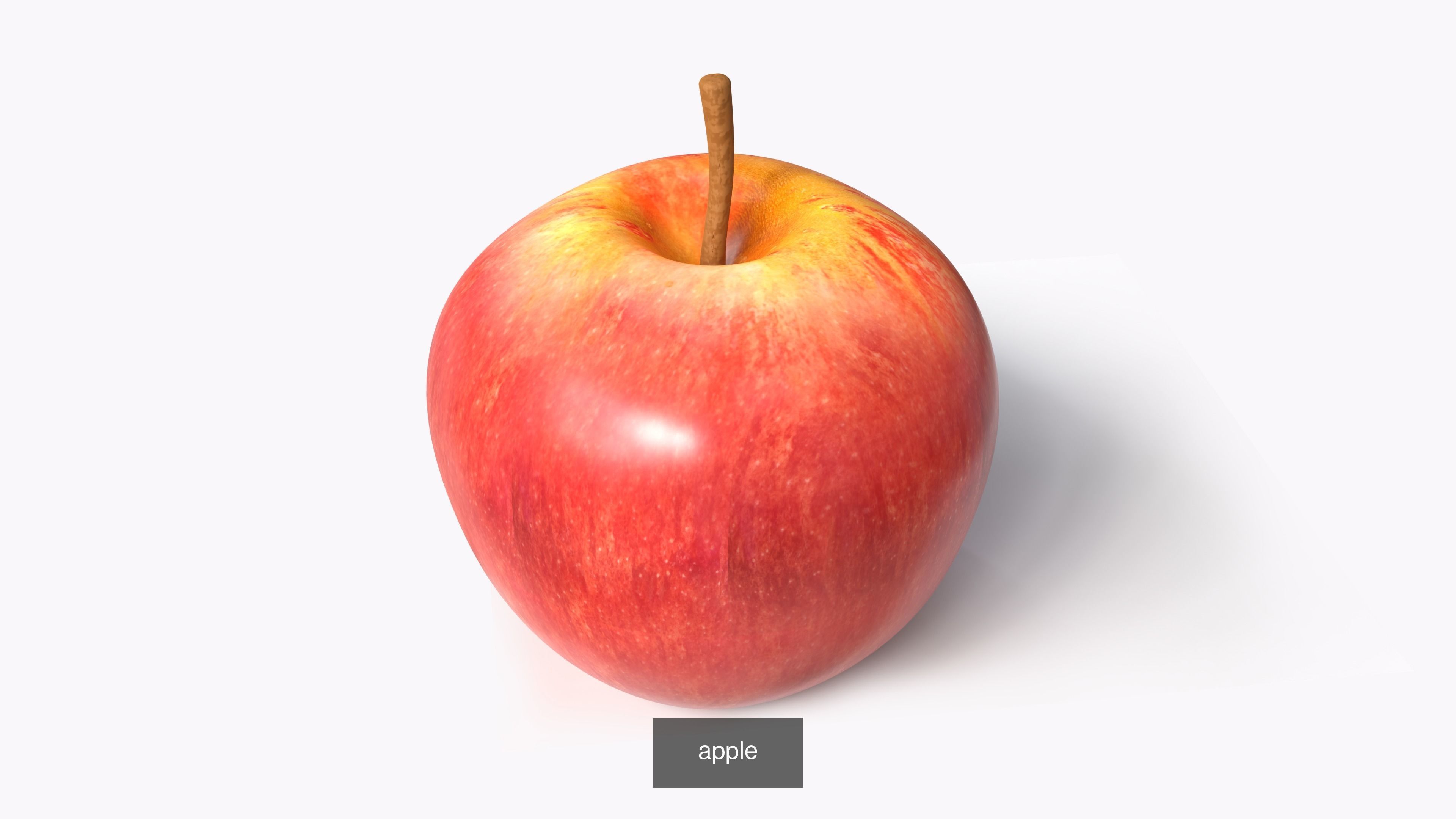 Thanksgiving collection grapes _20