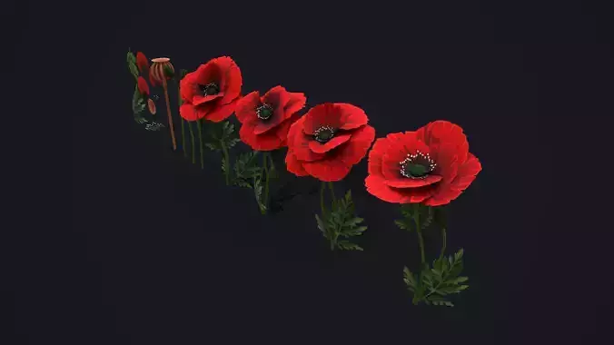Stylized handpainted Poppy Low-poly 3D model