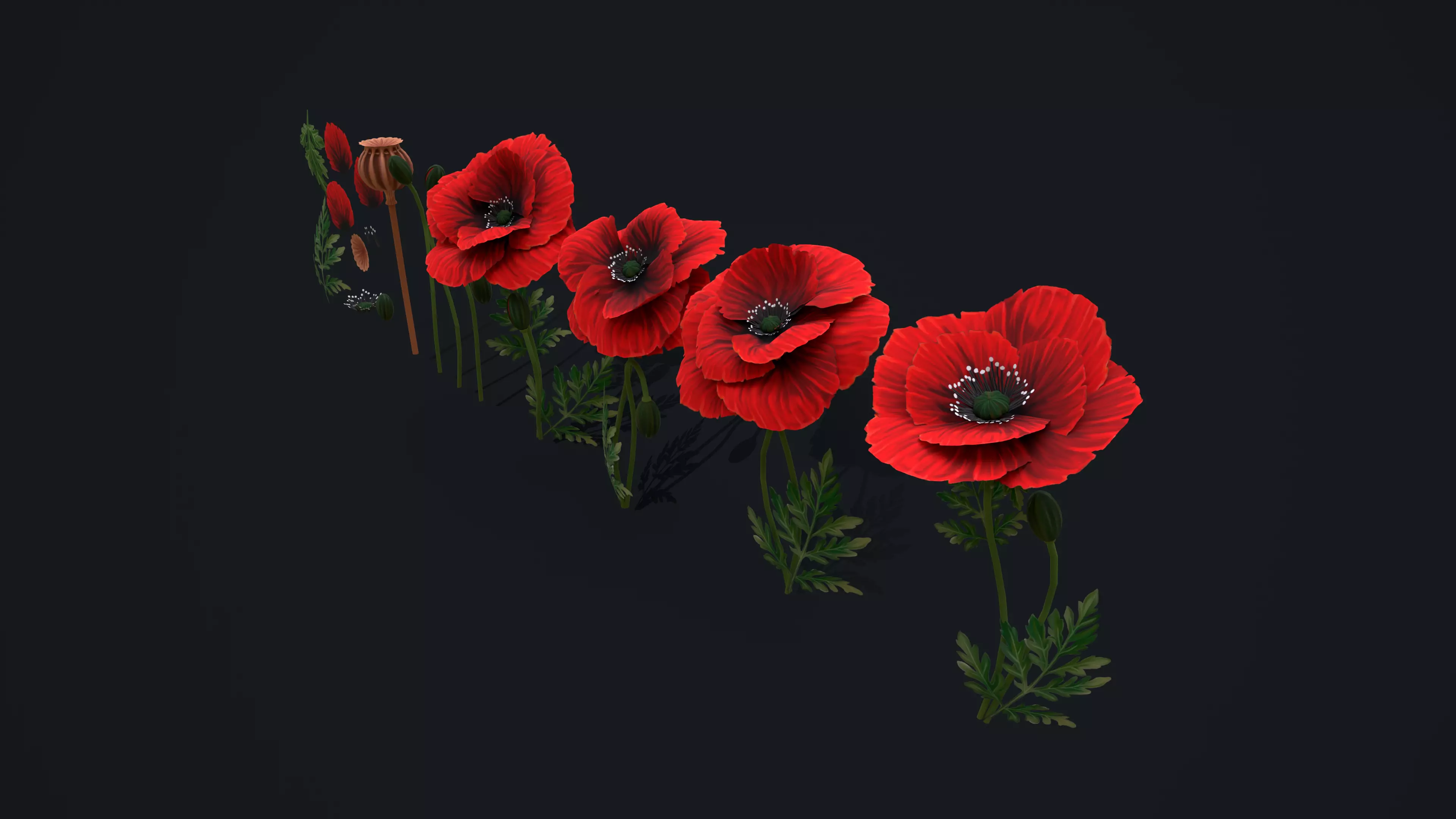 Stylized handpainted Poppy Low-poly 3D model_0