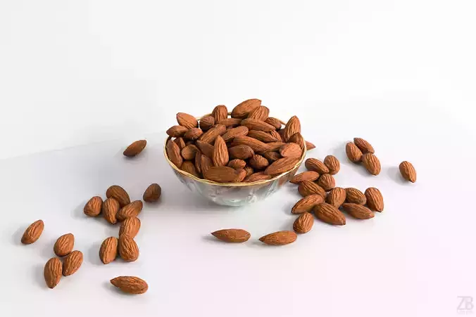 Almond 3D model