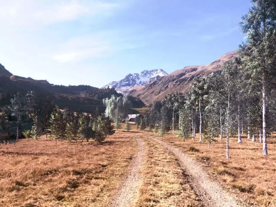 Realistic Trees Collection dirt road in mountains 3D model_0