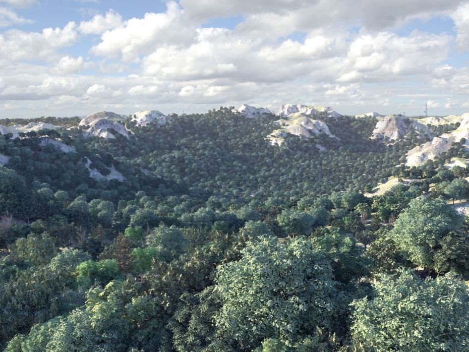 Realistic Trees Collection dirt road in mountains 3D model_2