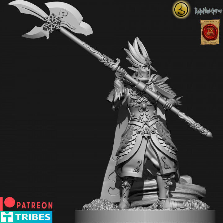 Highborn elves Flame wardens 3D print model_16