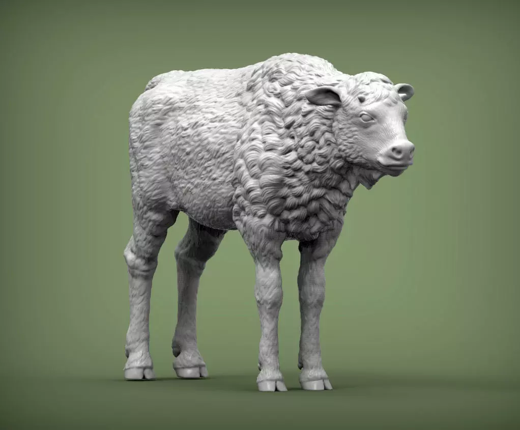 bison calf 3D print model