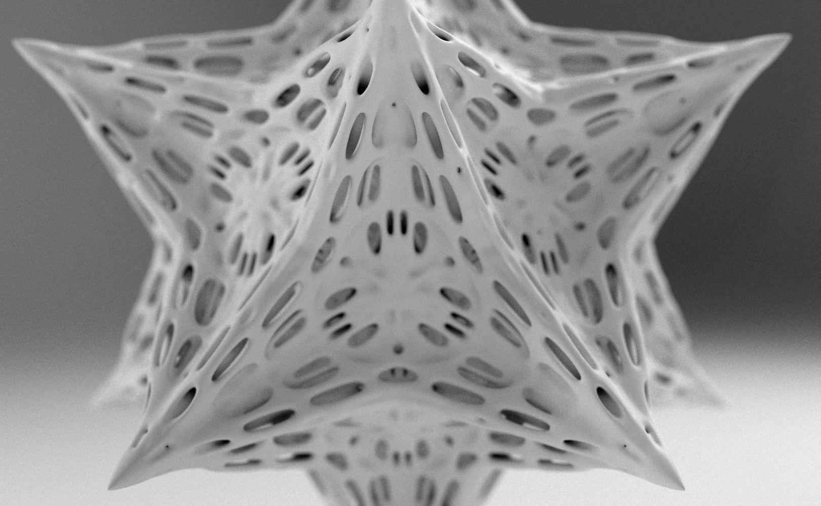 Alien Pollen Set 1 3D print model_8