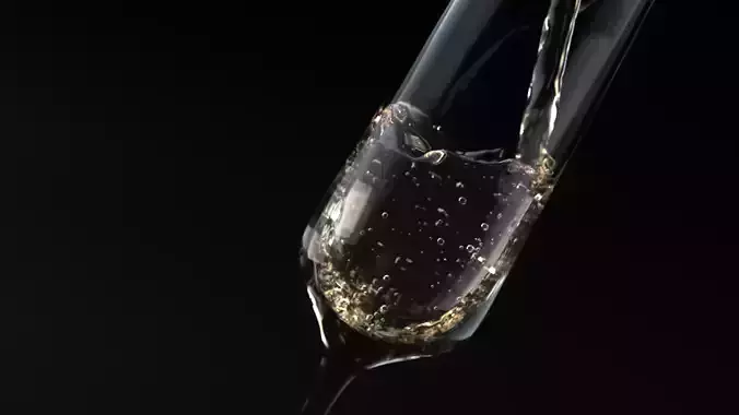Champagne Liquid Animated  3D model