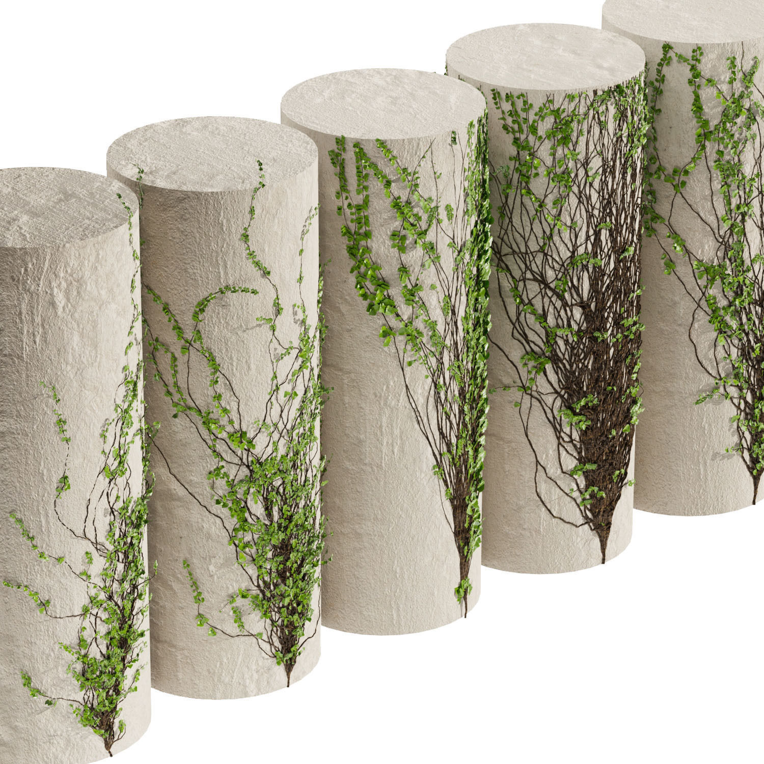 Collection plant vol 423 - Hedera - outdoor - leaf - fitowall 3D model_1