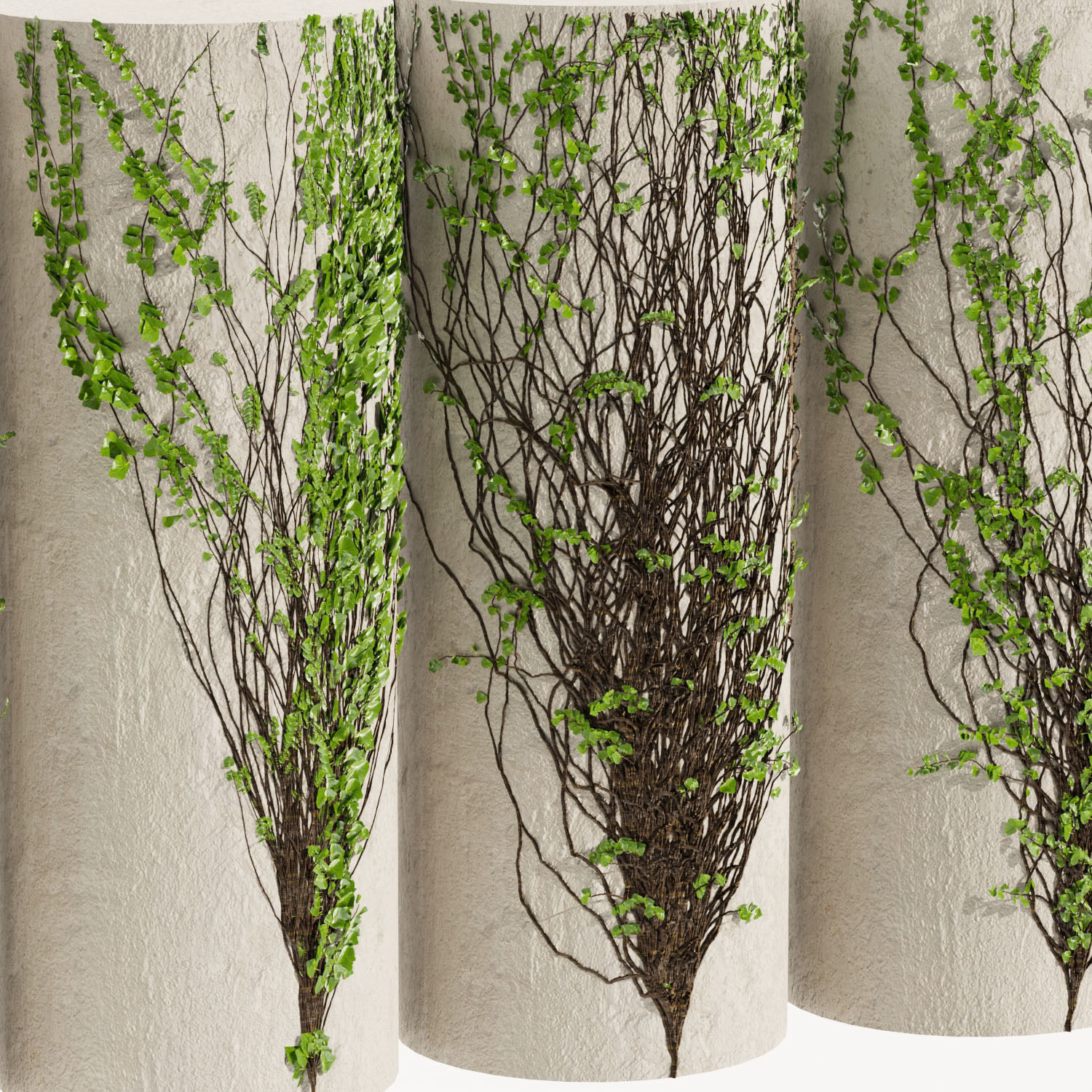 Collection plant vol 423 - Hedera - outdoor - leaf - fitowall 3D model_2