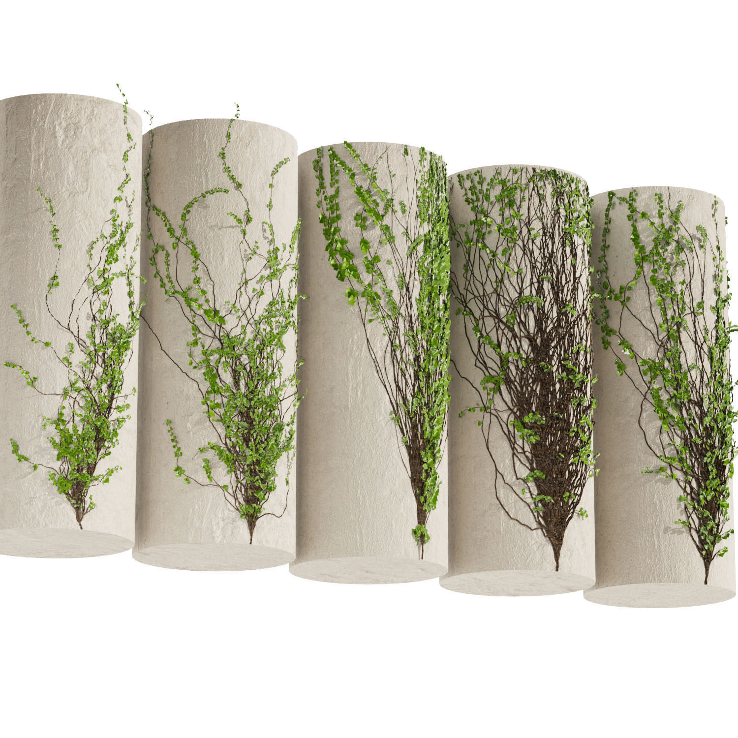 Collection plant vol 423 - Hedera - outdoor - leaf - fitowall 3D model_3