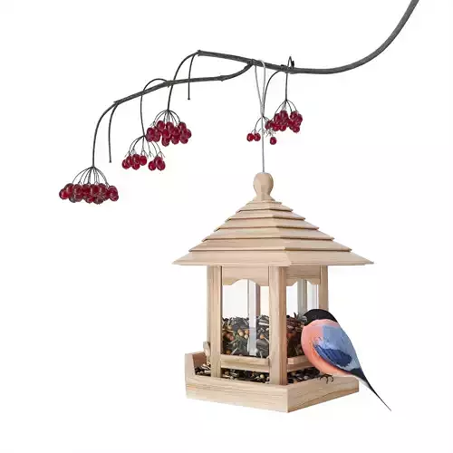 Feeder for garden birds Duvo plus