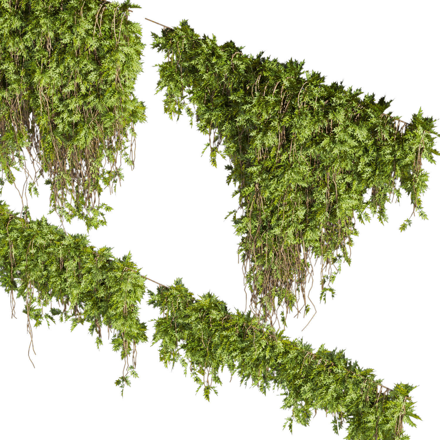 Collection plant vol 425 - bush - ivy - 3dmodel - Assorted 3D model_2