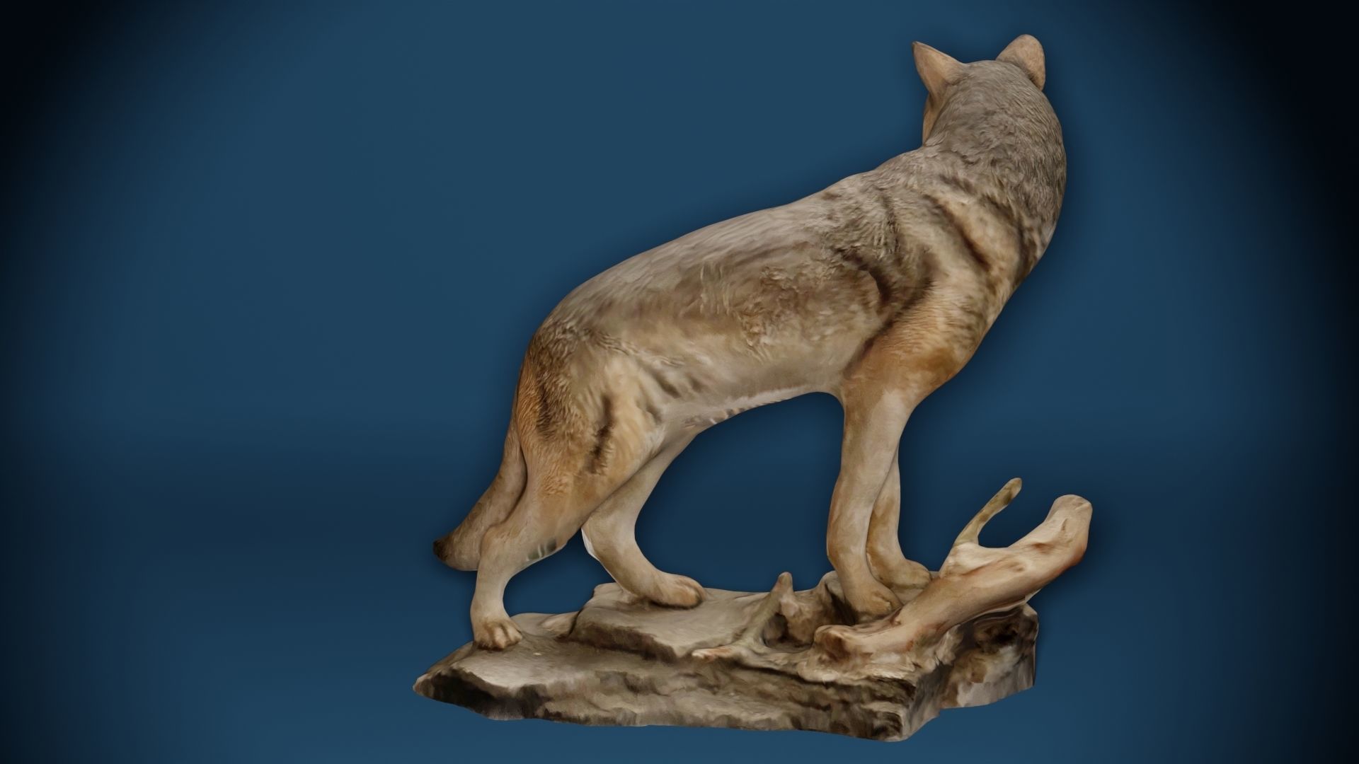 Big Wolf and Wolf Puppy figure collection Low-poly 3D model_9