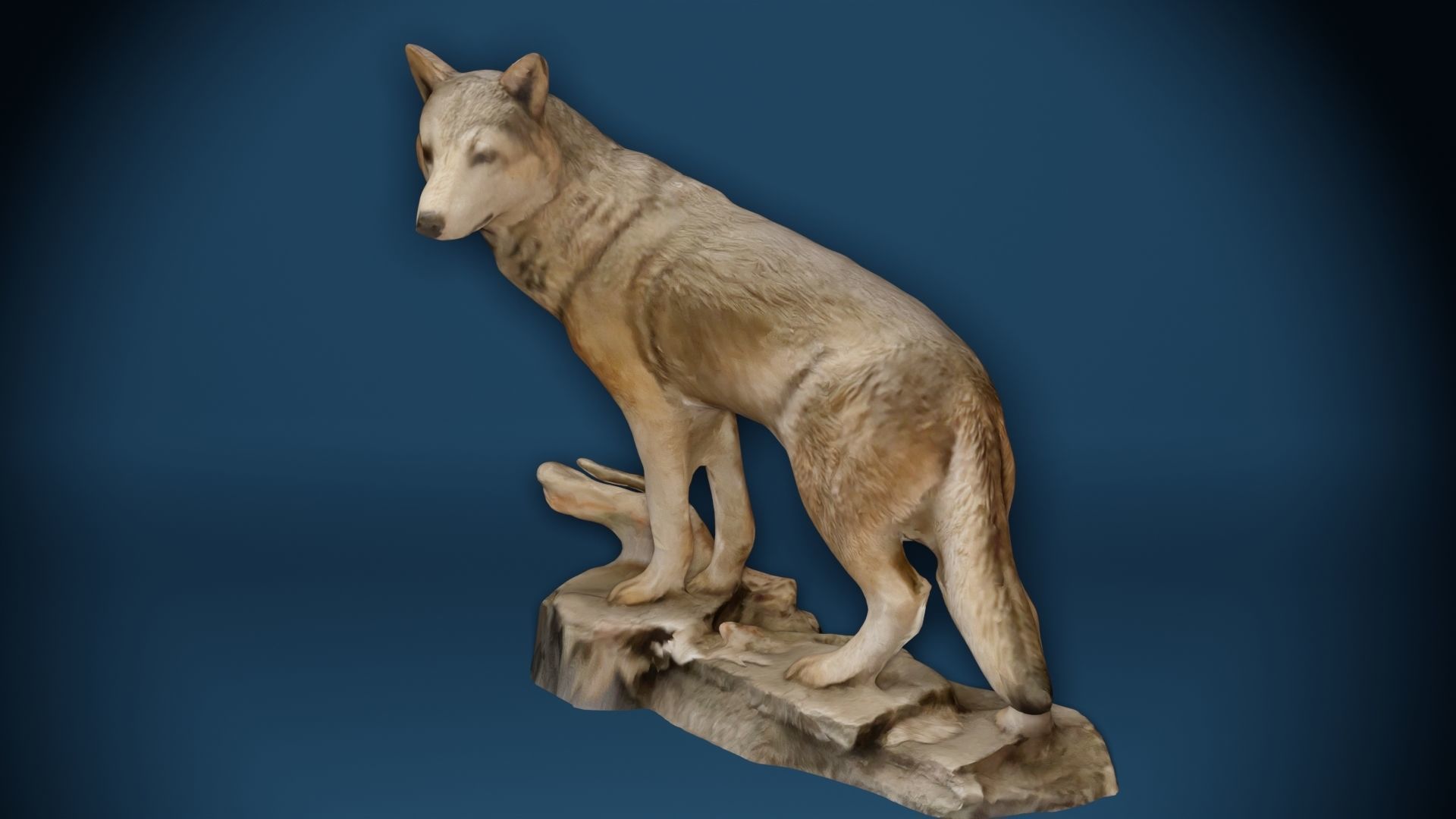 Big Wolf and Wolf Puppy figure collection Low-poly 3D model_6