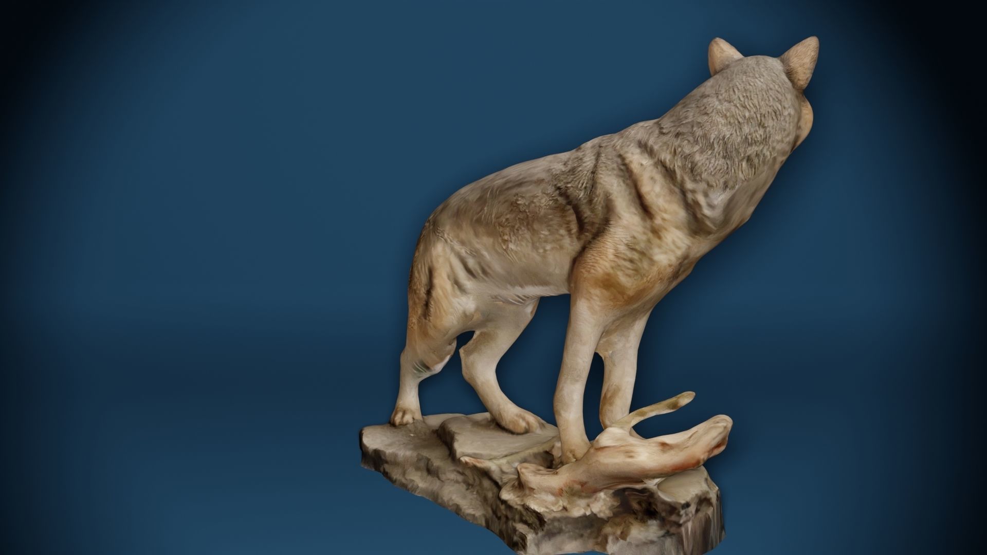Big Wolf and Wolf Puppy figure collection Low-poly 3D model_10