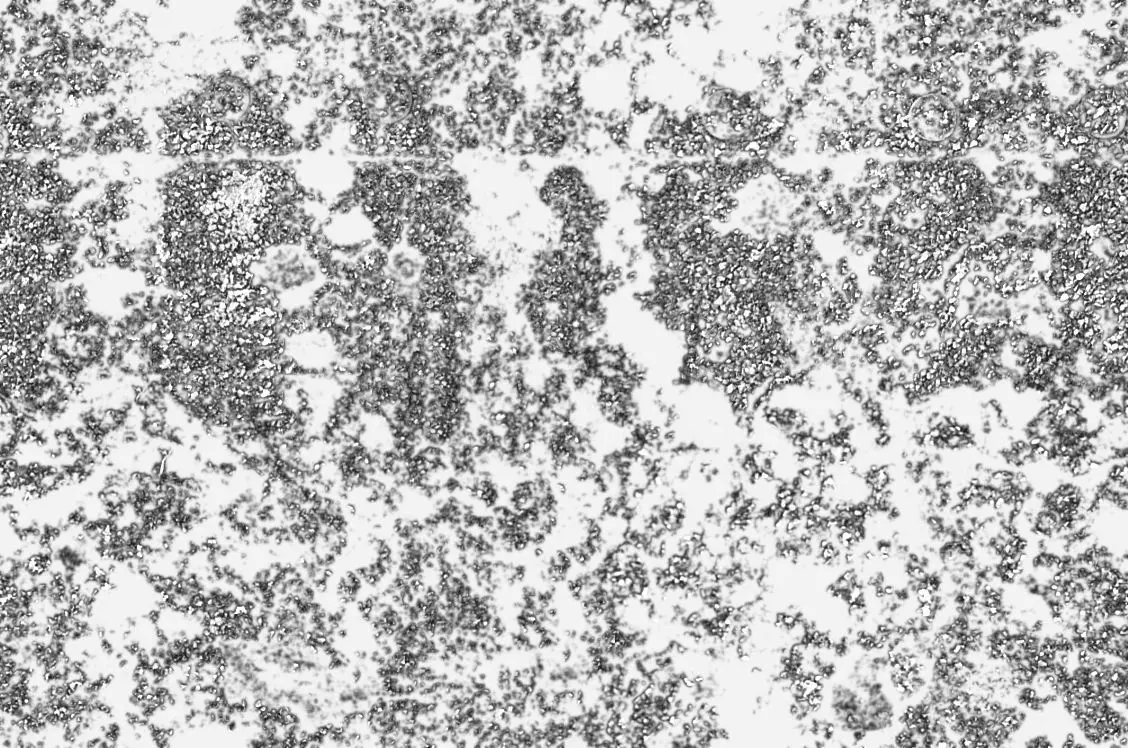 Interior Texture Set 1 Texture