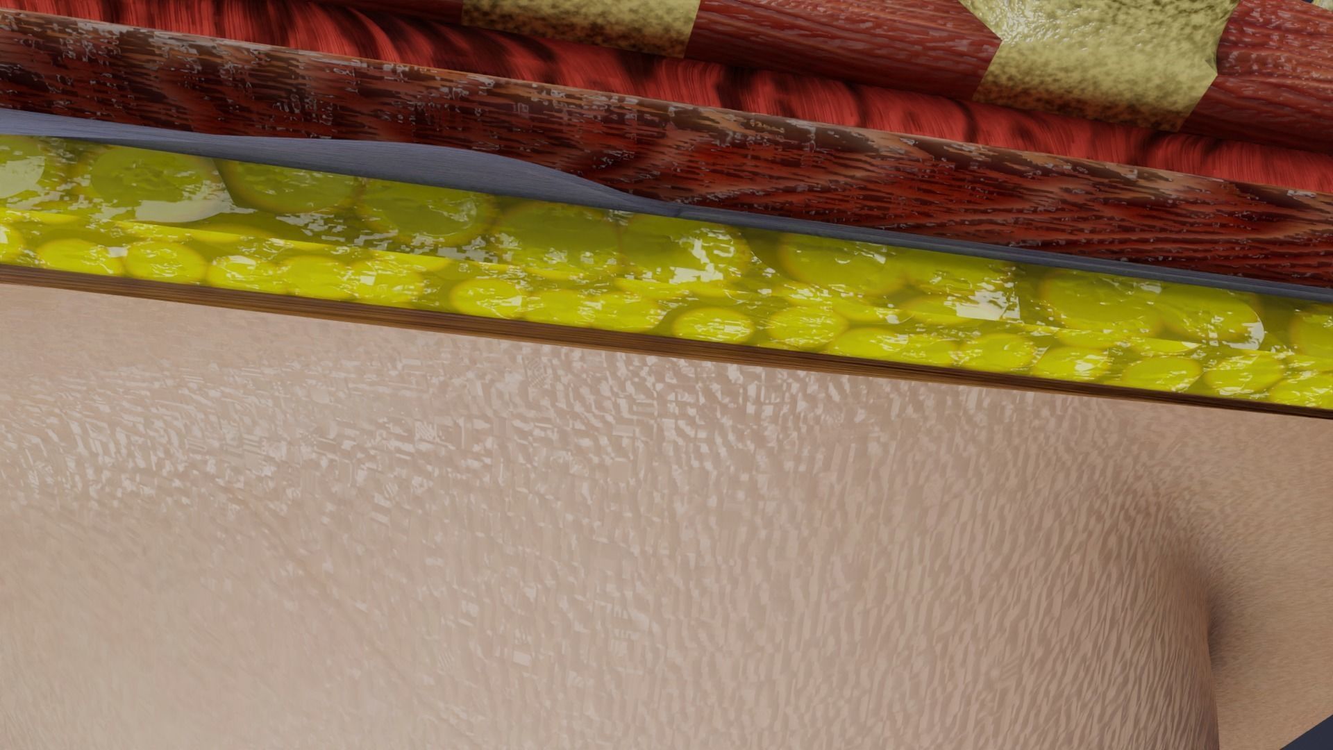 Breast anatomy histology detailed labelled precise to scale 3D model_18