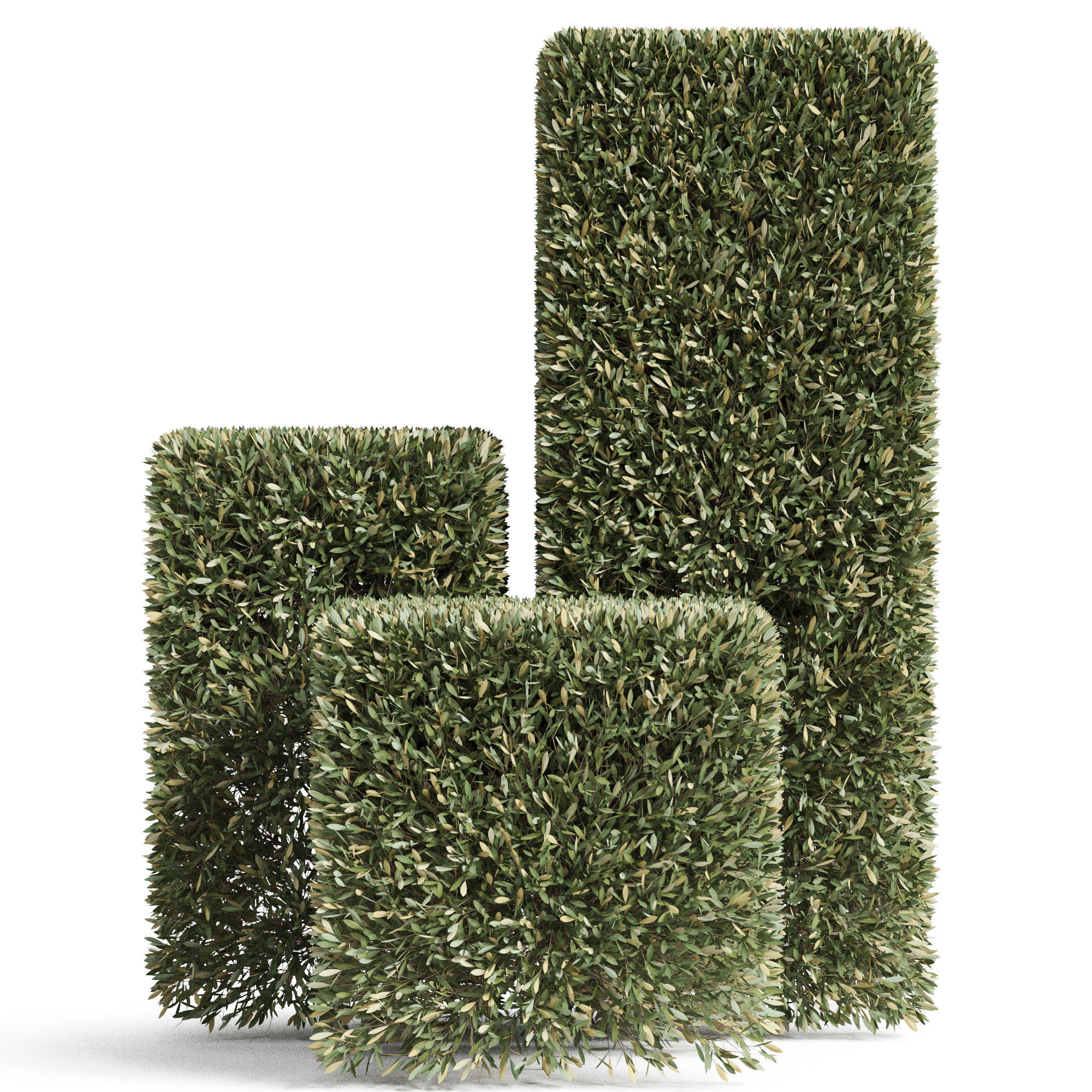 Plants collection 858 3D model_1