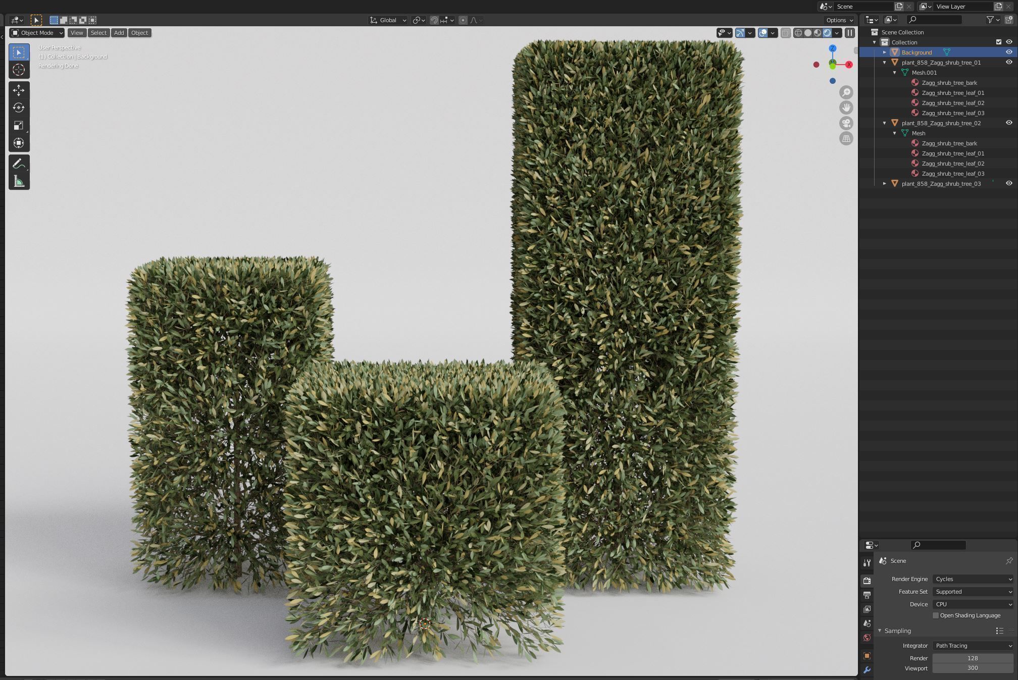 Plants collection 858 3D model_6