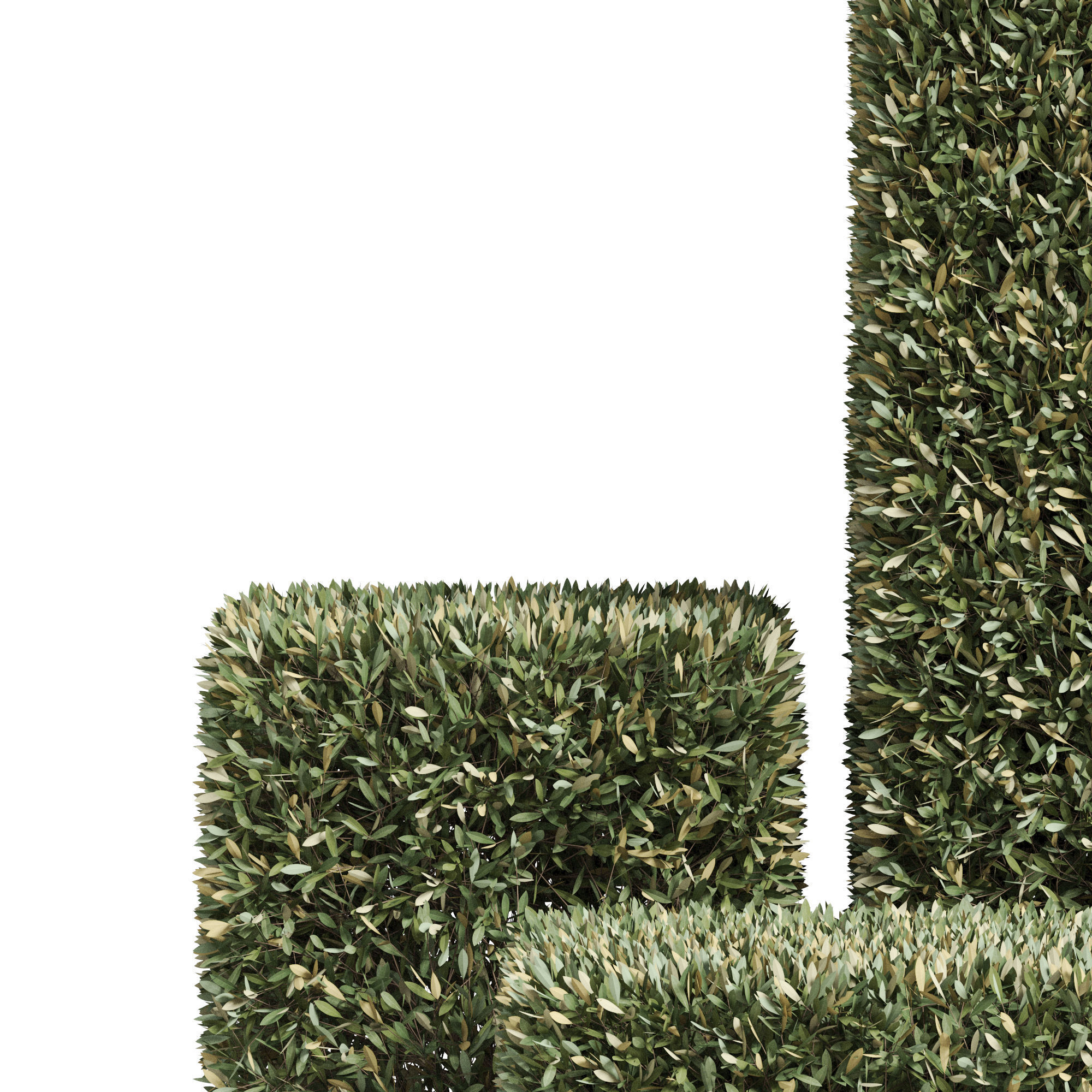 Plants collection 858 3D model_2