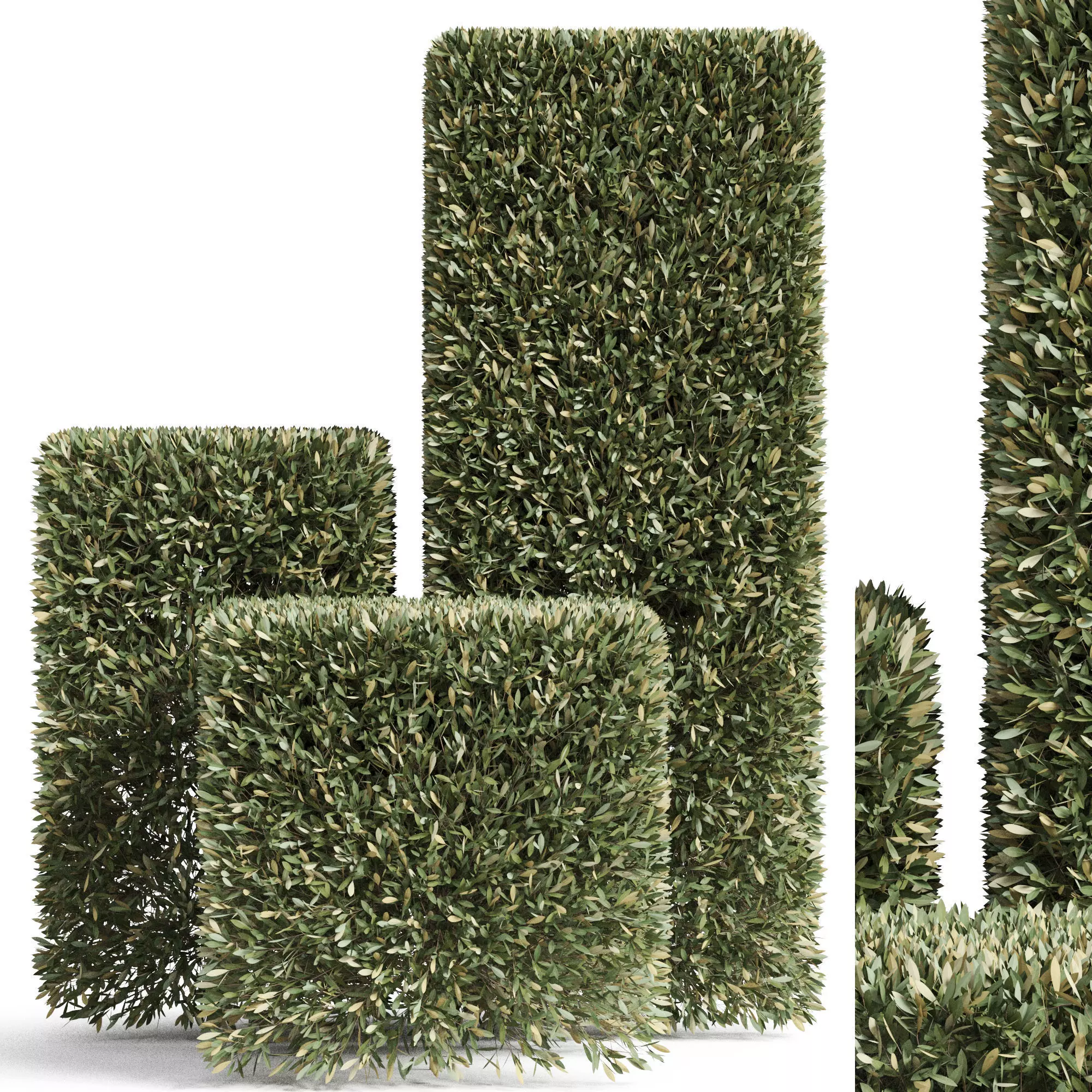 Plants collection 858 3D model_0