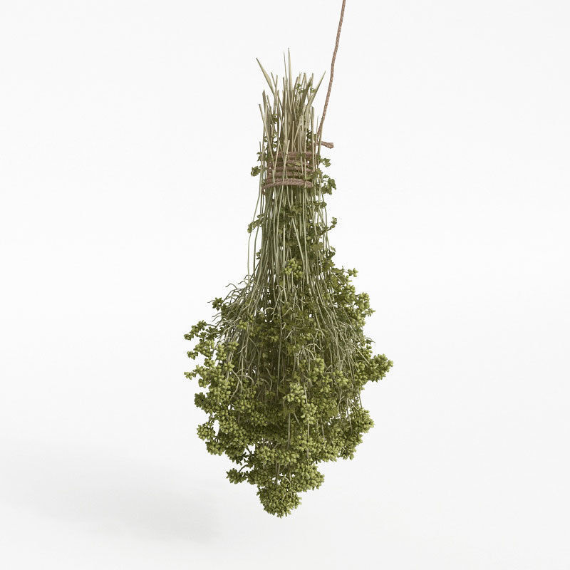 Archmodels vol 130 - fruits and vegetables 3D model_41