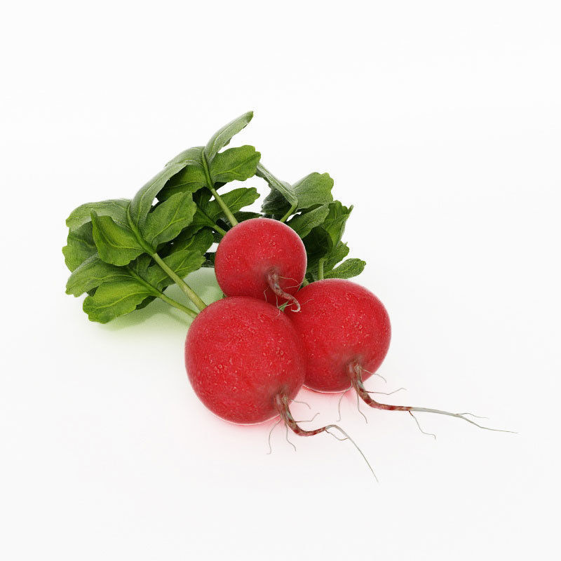 Archmodels vol 130 - fruits and vegetables 3D model_10