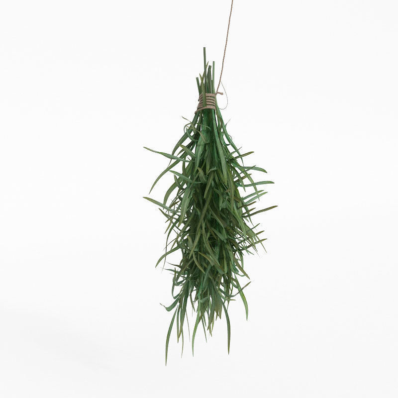 Archmodels vol 130 - fruits and vegetables 3D model_40